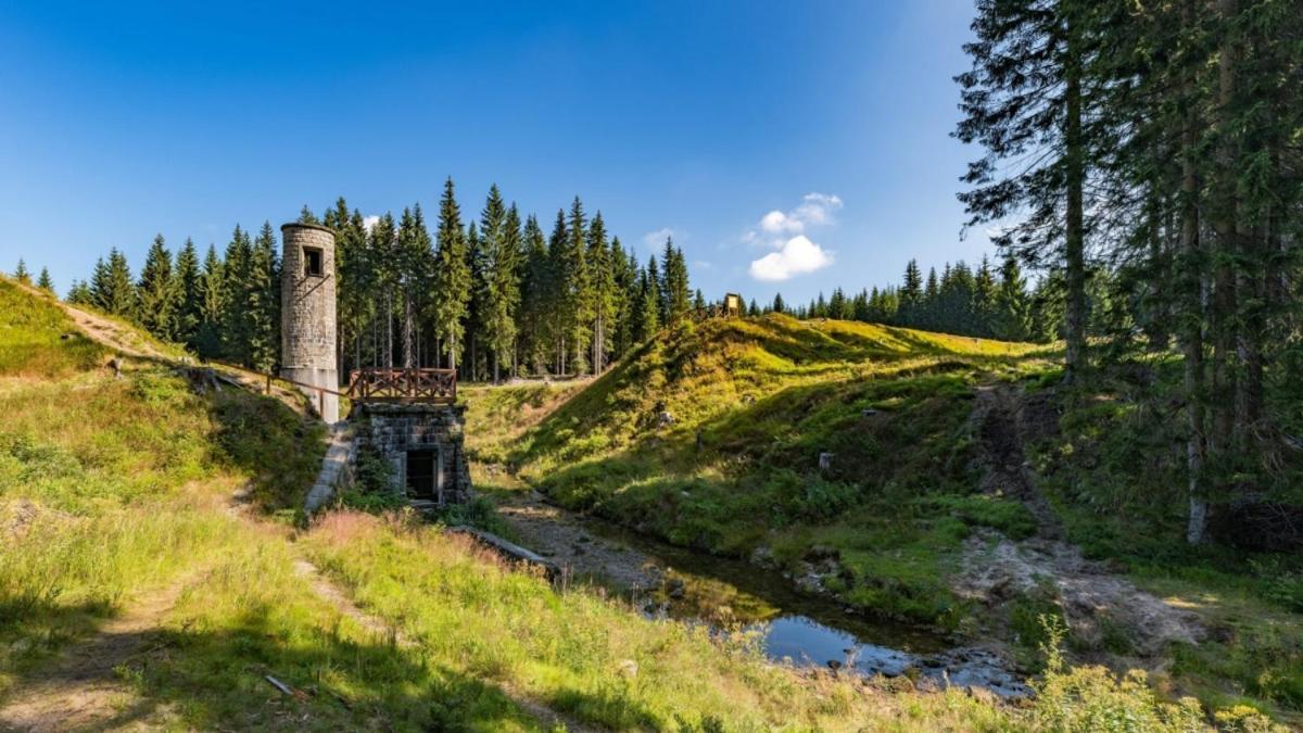 Podhorsky Apartman Materidouska Desná Exterior foto